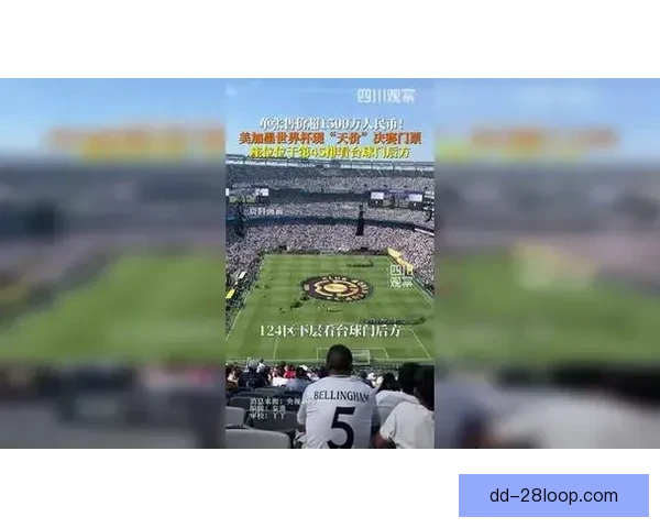 2026年世界杯决赛阶段门票最低180美元球迷抢票热度持续攀升